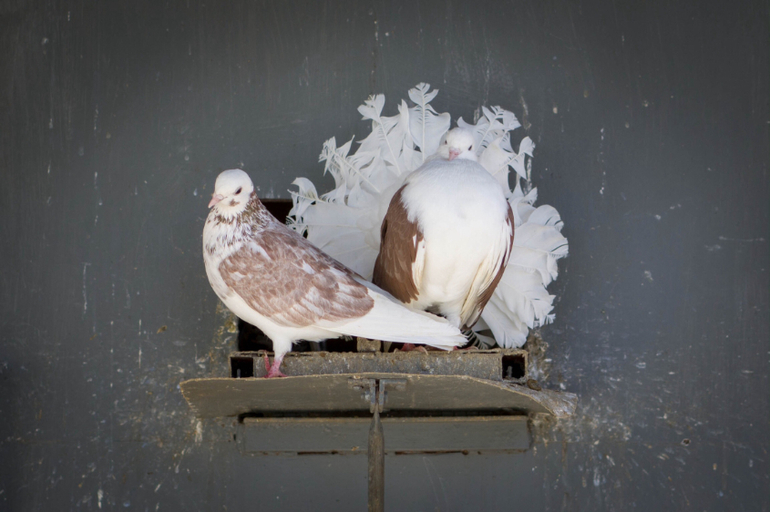 Детский парк "Фили" день 2