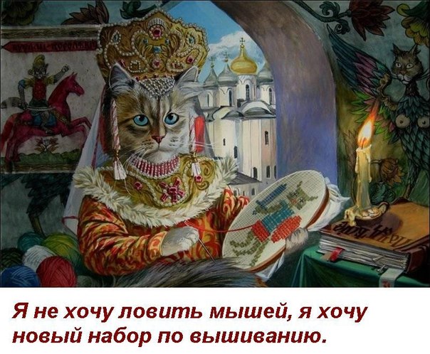 Совместник РИОЛИС. Двенадцатый отчетный.