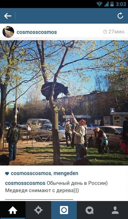 позабавило )