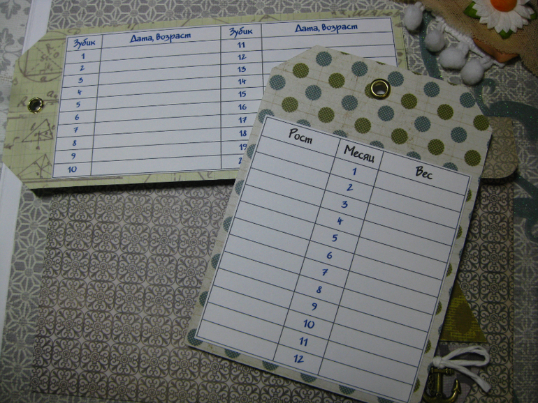 Альбом первого года жизни Малыша