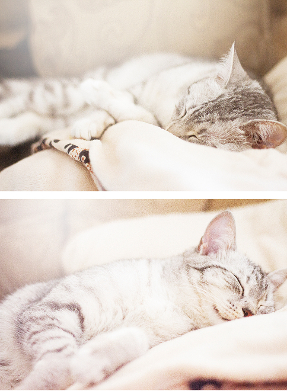 как к нам жара приходила (НАКОНЕЦ-ТО!!!)