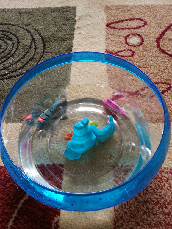 Водные забавы