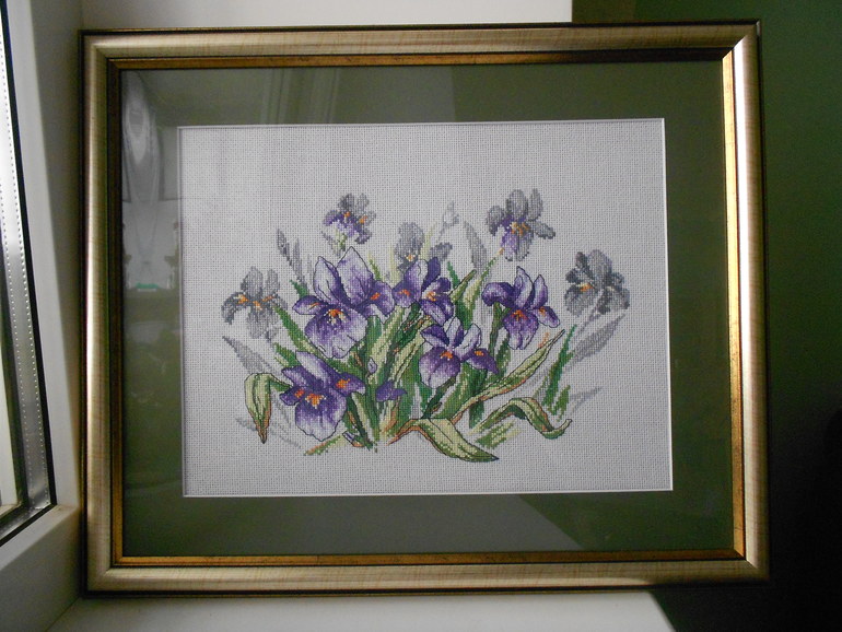 Оформила ирисы