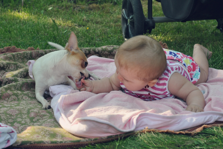 Как же я люблю лето!