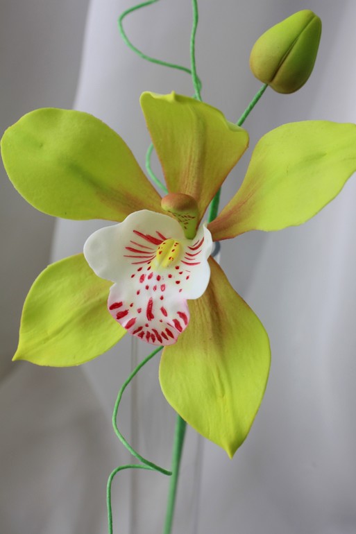 Пион и орхидея цимбидиум.