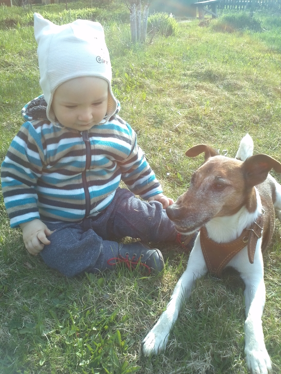 Наши прогулки...