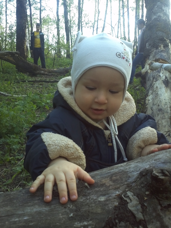 Наши прогулки...