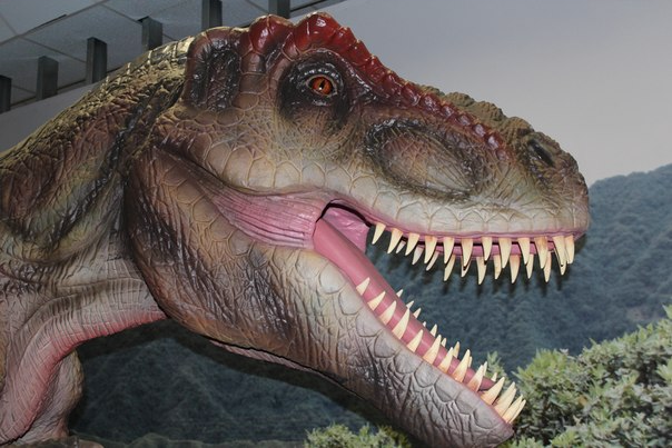 Музей динозавров в ТЦ Москва.