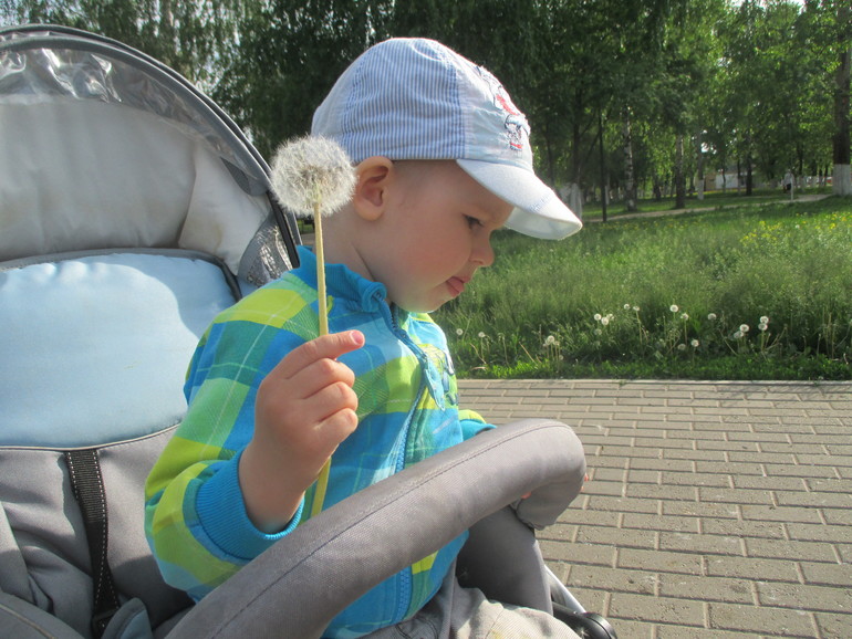 ТЗ Солнышко на ножке.