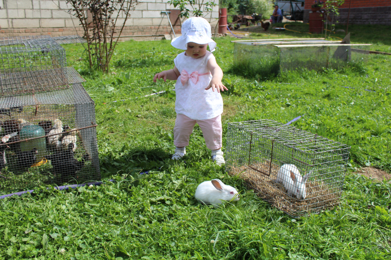 ТН "Навстречу природе"