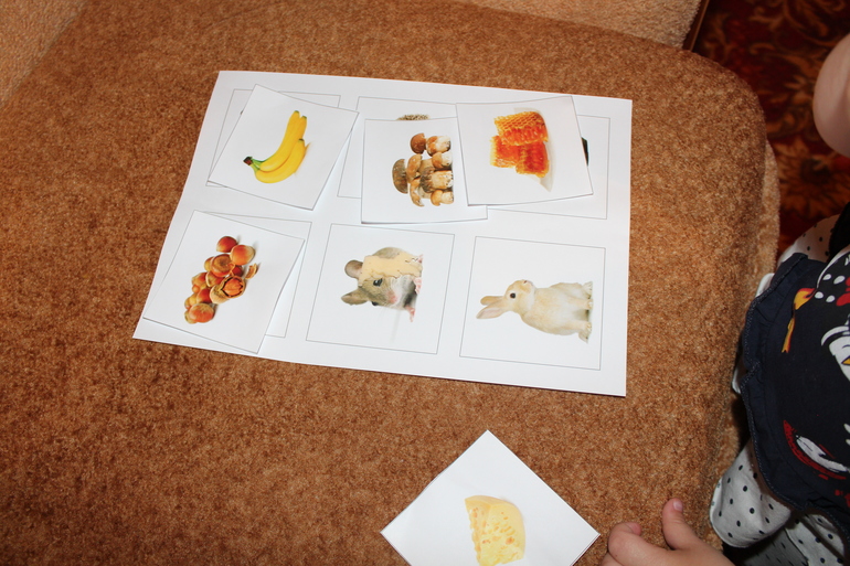 ТН "Навстречу природе"