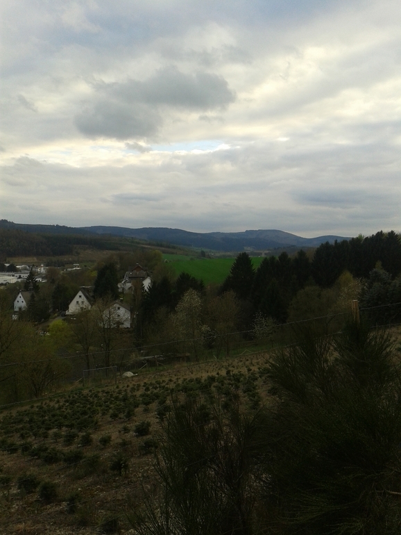 Забег на 6 км. Моя радость. Пейзажи Германии. :-)