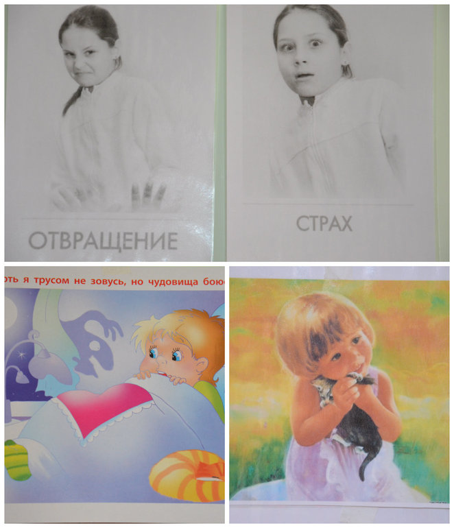 ТН Эмоции. Отвращение и страх.