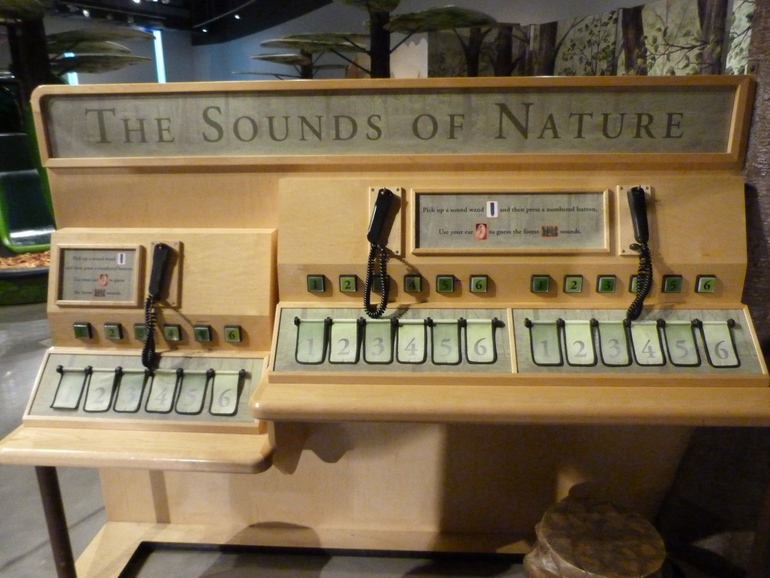 Как мы ходили в музей...