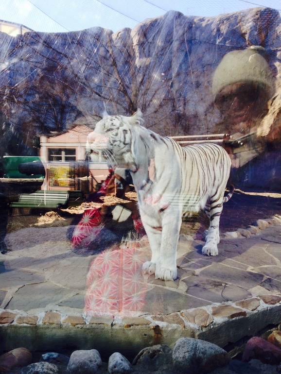 ЗООПАРК. Открытие сезона 2014.