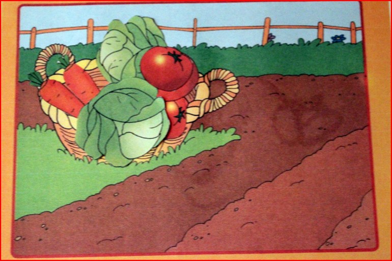 ТЗ "Красный цвет". Фрукты - овощи.