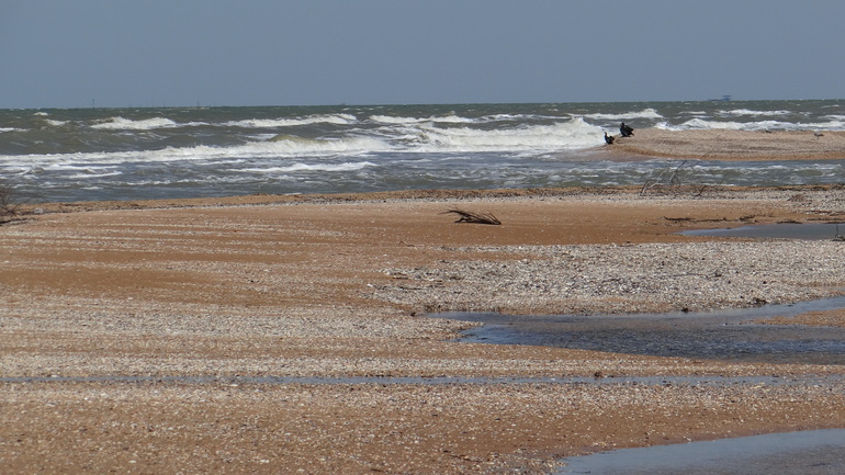 Голубицкая