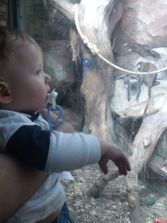 В ожидании НГ