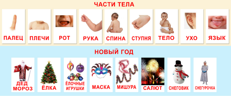 КАРТОЧКИ ДОМАНА ЧАСТИ ТЕЛА СКАЧАТЬ БЕСПЛАТНО КАРТОЧКИ ДОМАНА ЧАСТИ ТЕЛА СКАЧАТЬ БЕСПЛАТНО