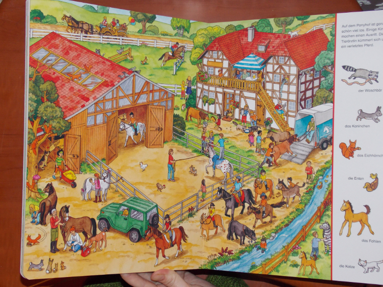 Развороты Mein großes Suchbilderbuch Tiere by Blanka Leonhardt