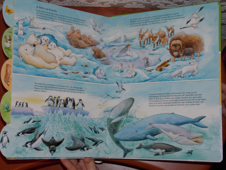 Развороты Meine Welt der Tiere by Hans-Günther Döring