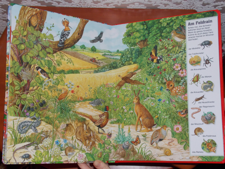 Развороты Mein Anne Suess Suchwimmelbuch by Anne Suess