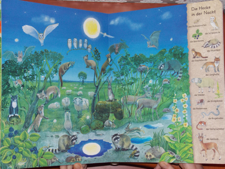 Развороты Mein erstes Wimmelbuch - Hecke und Garten