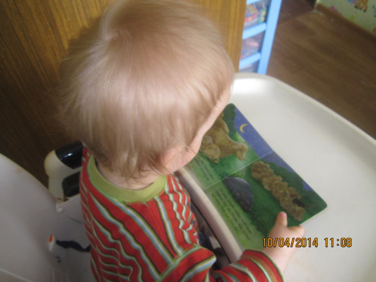 ТН "Скотный двор". День 4 - Овца