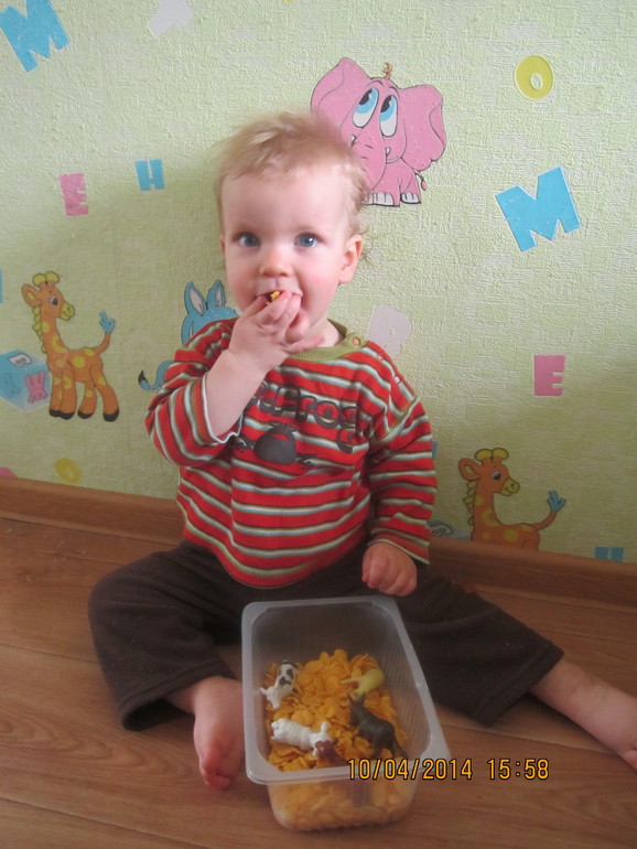 ТН "Скотный двор". День 4 - Овца