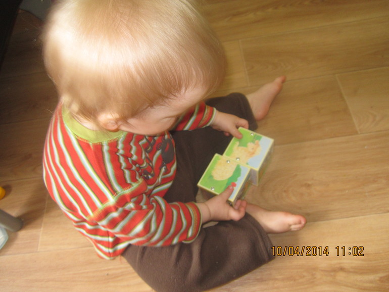 ТН "Скотный двор". День 4 - Овца