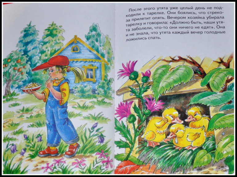 Книгообзор 6.