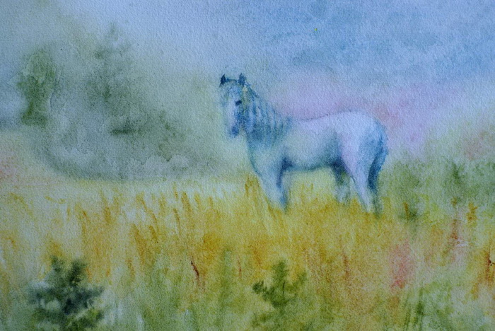 Лошади,лошадки,кони...