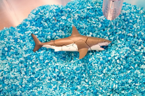 Сухое плавание, морская сенсорная коробка.