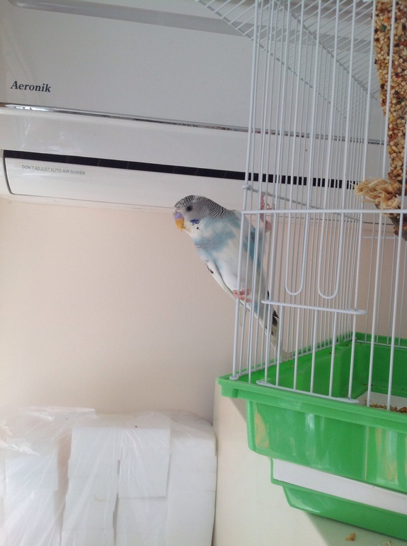 Наш Марсель!