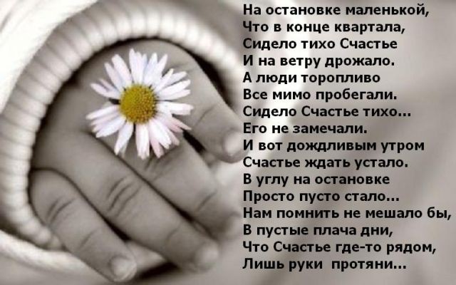 Счастье....