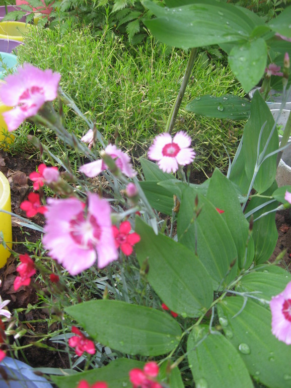 Летние, часть 1)