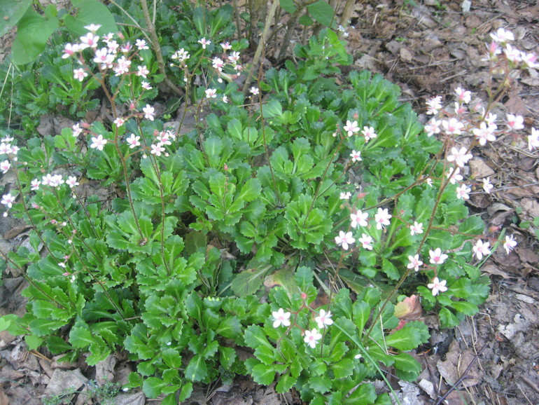 Летние, часть 1)