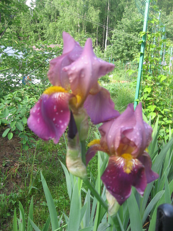 Летние, часть 1)