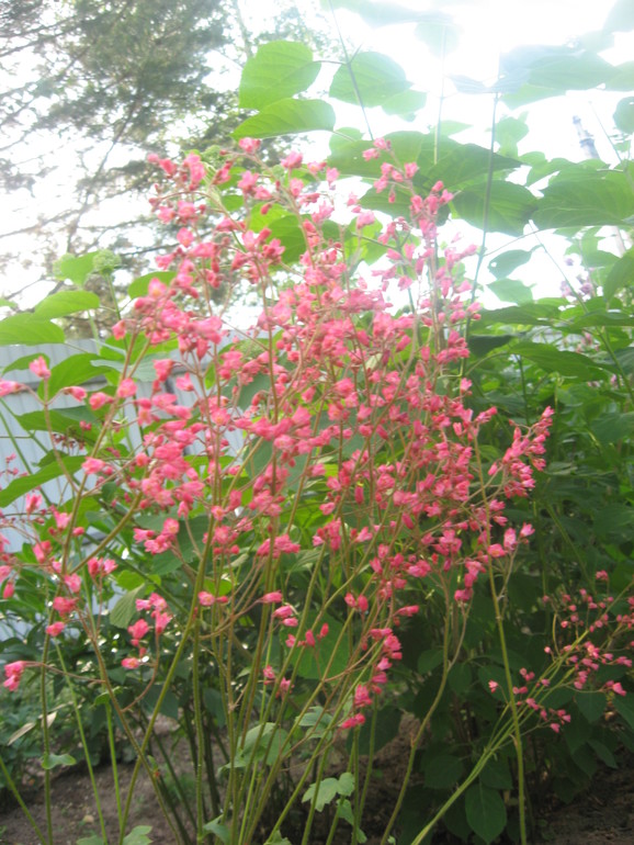 Летние, часть 1)