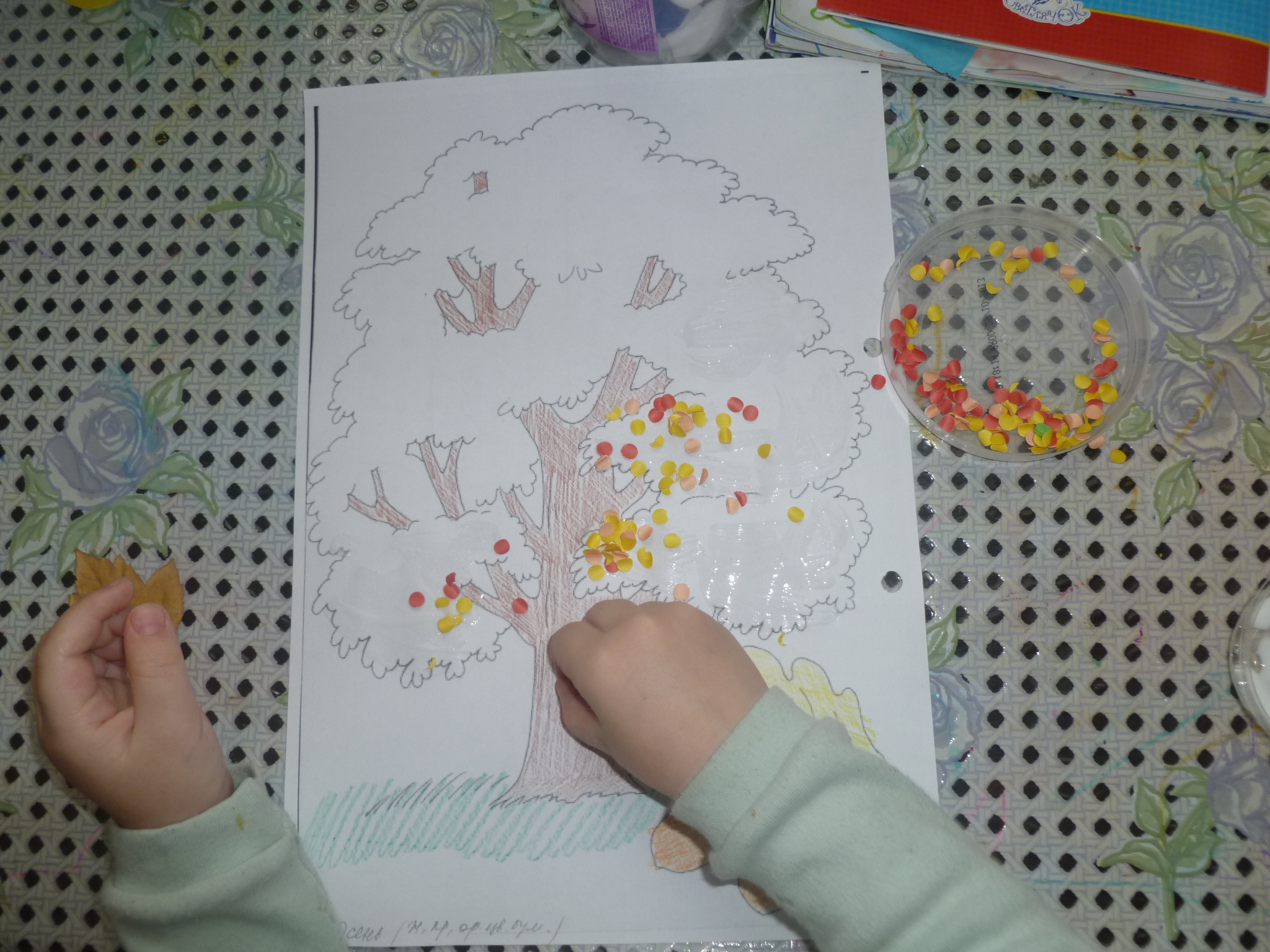 ТН "Деревья" 1 день.