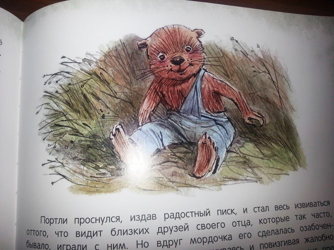 Февральское пополнение