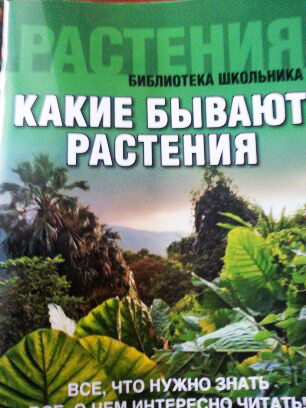 Новое из Fix-Price для школьников