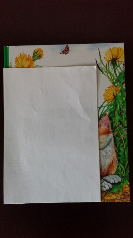 Кошки-мышки