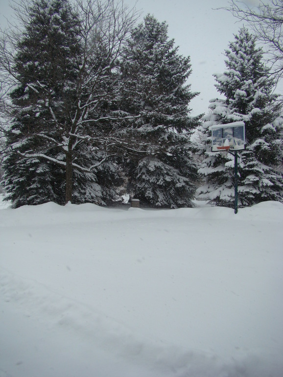 Вот это нас засыпало!