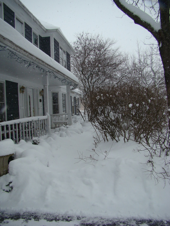 Зима разгулялась не на шутку.