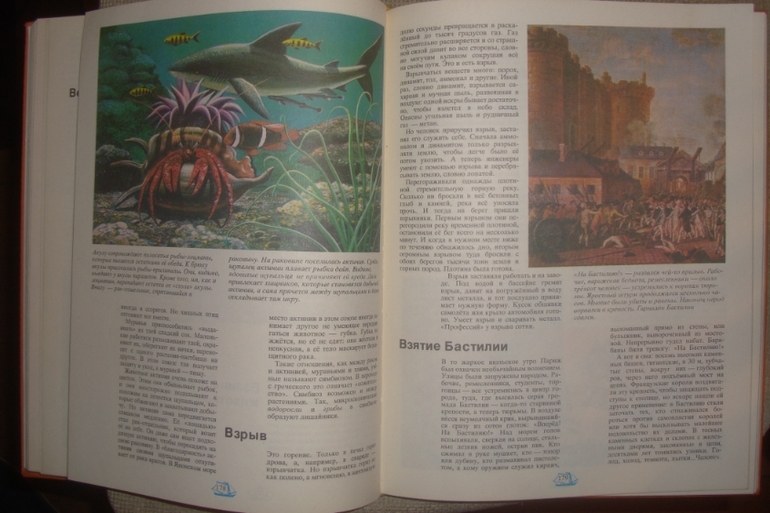 Что такое. Кто такой