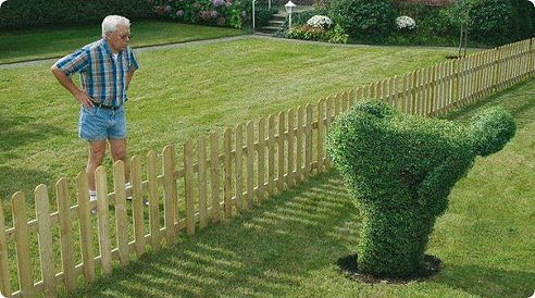 смешные фотки