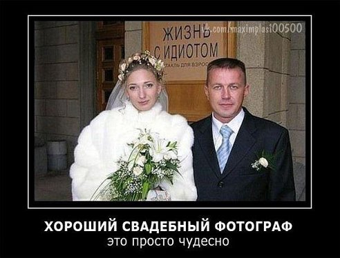 смешные фотки