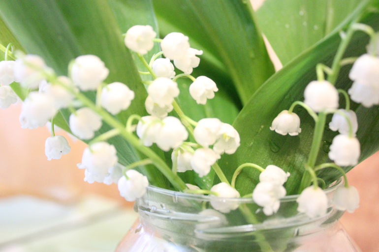 Птенчику 10 месяцев!