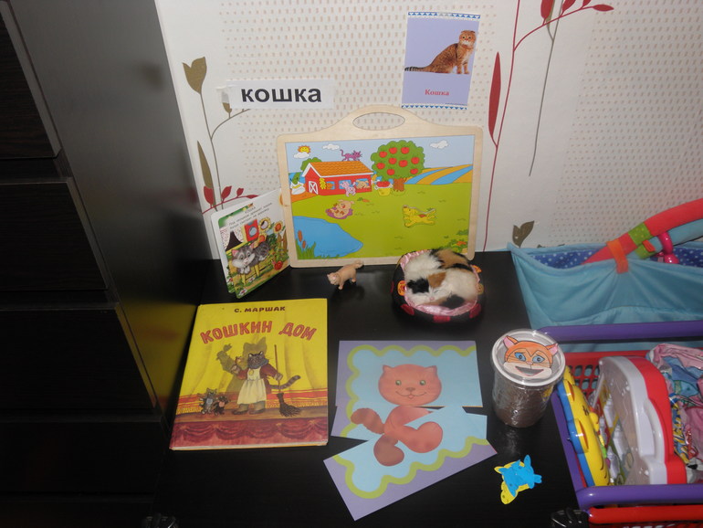 ТД №2 Кошка